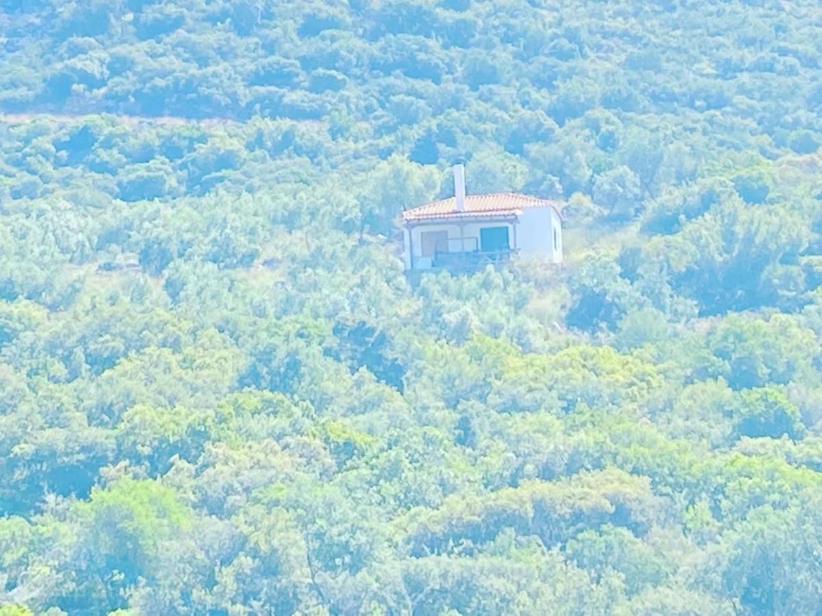 Velonas Mpakas Country * Prosilio (Peloponnese)