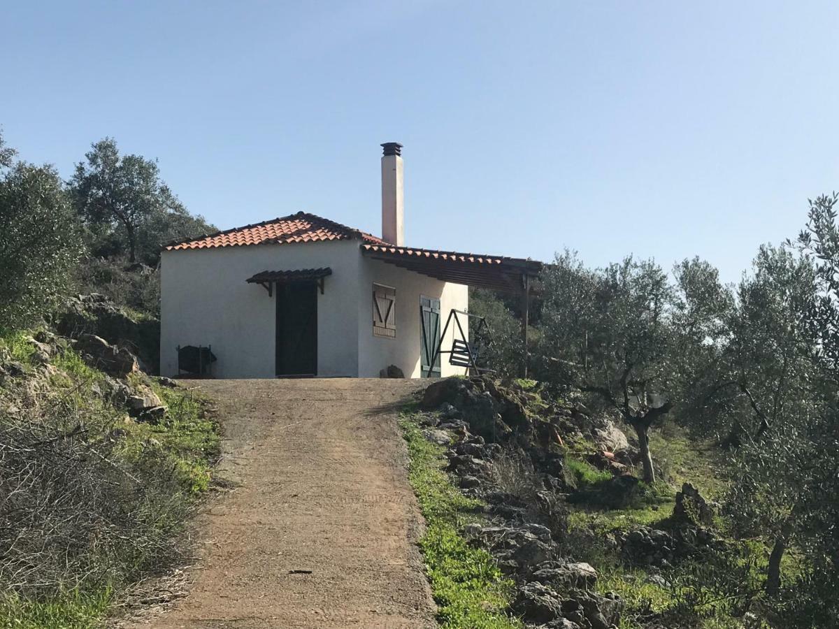 Velonas Mpakas Country Holiday home Prosilio (Peloponnese)