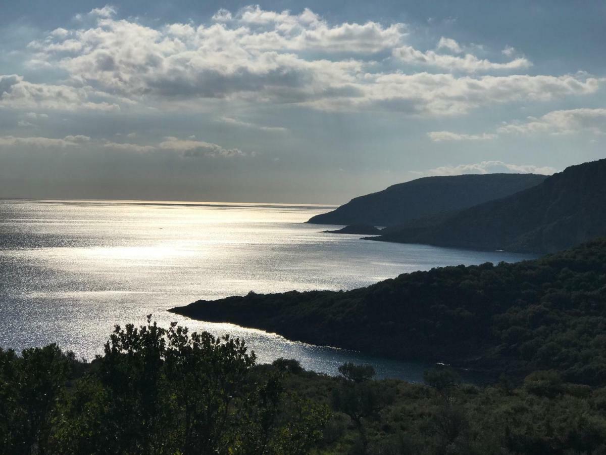 Velonas Mpakas Country Prosilio (Peloponnese)